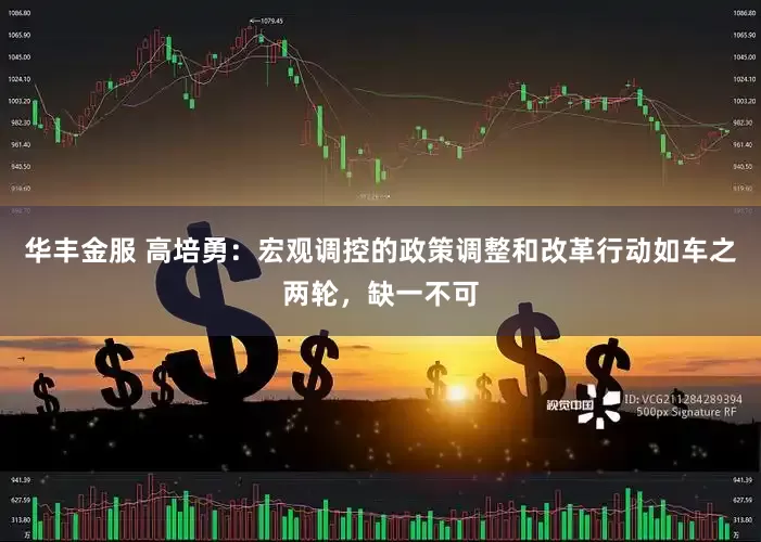 华丰金服 高培勇：宏观调控的政策调整和改革行动如车之两轮，缺一不可