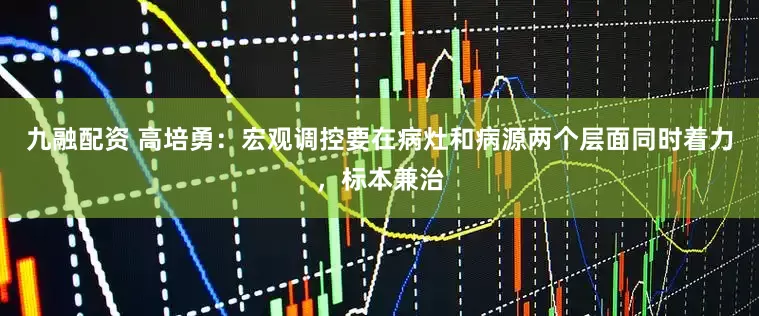 九融配资 高培勇：宏观调控要在病灶和病源两个层面同时着力，标本兼治