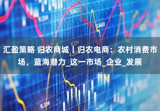 汇盈策略 归农商城丨归农电商：农村消费市场，蓝海潜力_这一市场_企业_发展