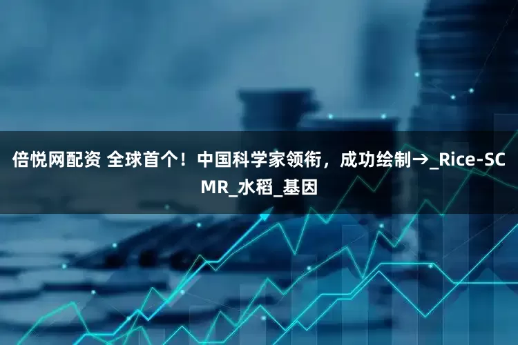 倍悦网配资 全球首个！中国科学家领衔，成功绘制→_Rice-SCMR_水稻_基因
