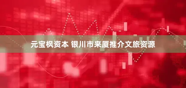 元宝枫资本 银川市来厦推介文旅资源