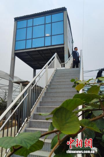 天载配资 河南西峡：电商直播间开在果园之上